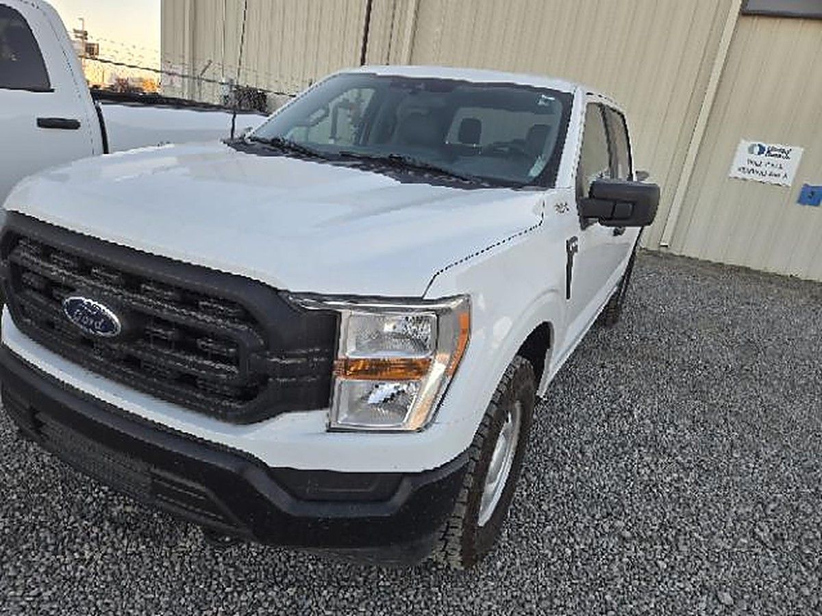 FORD F150CREWXLG4WD photo 4