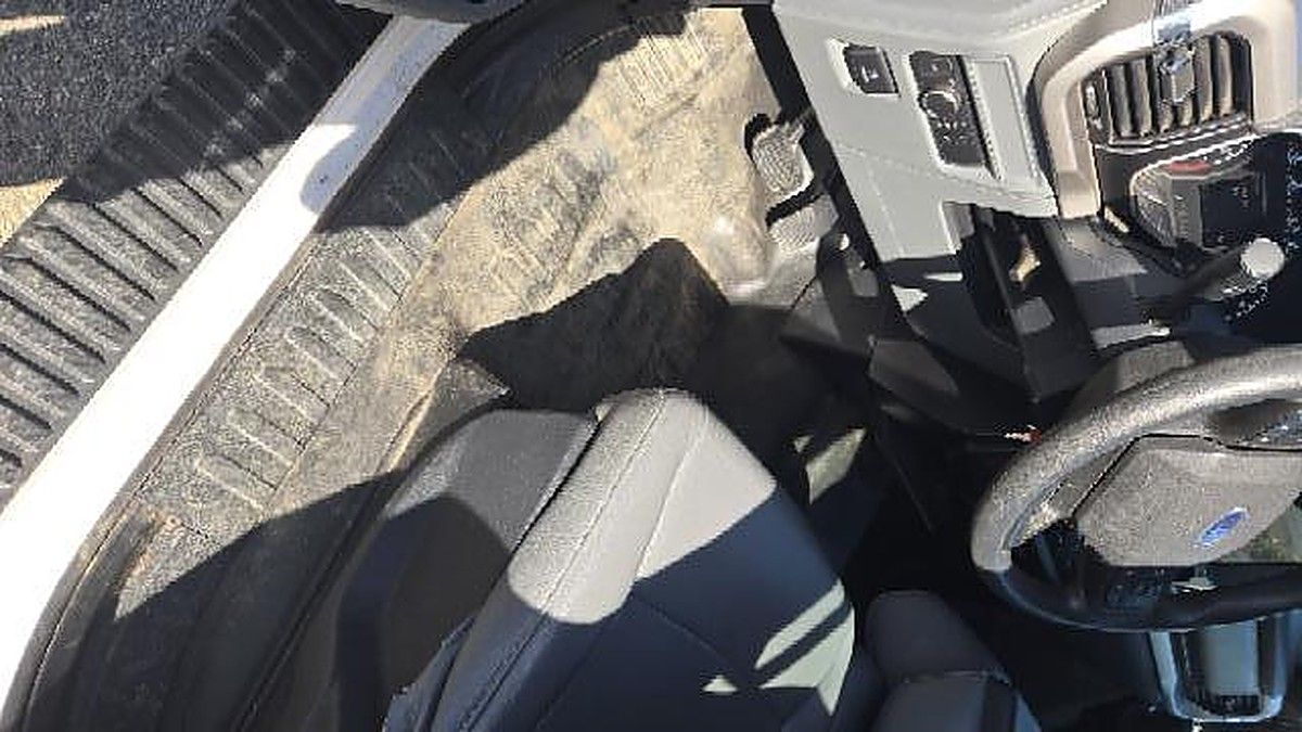 FORD F150CREWXLG4WD photo 5