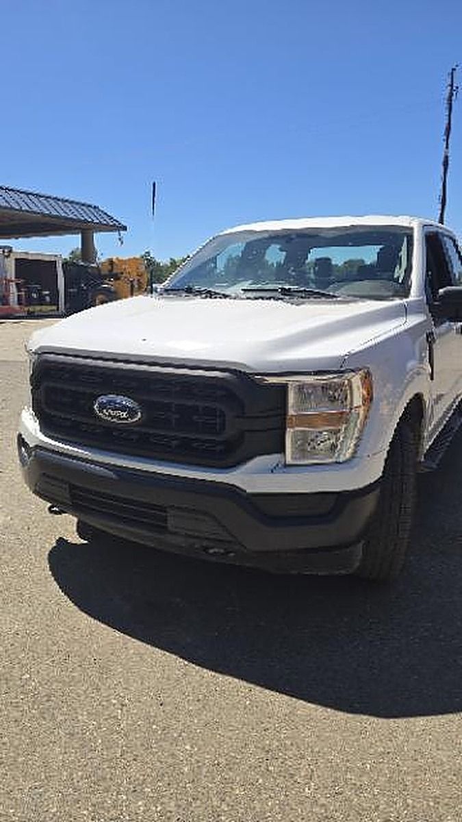 FORD F150CREWXLG4WD photo 2