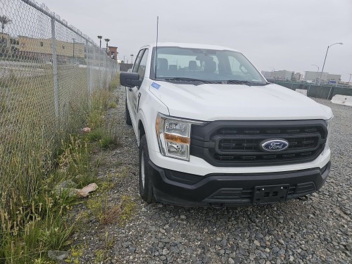 FORD F150CREWXLG4WD photo 3