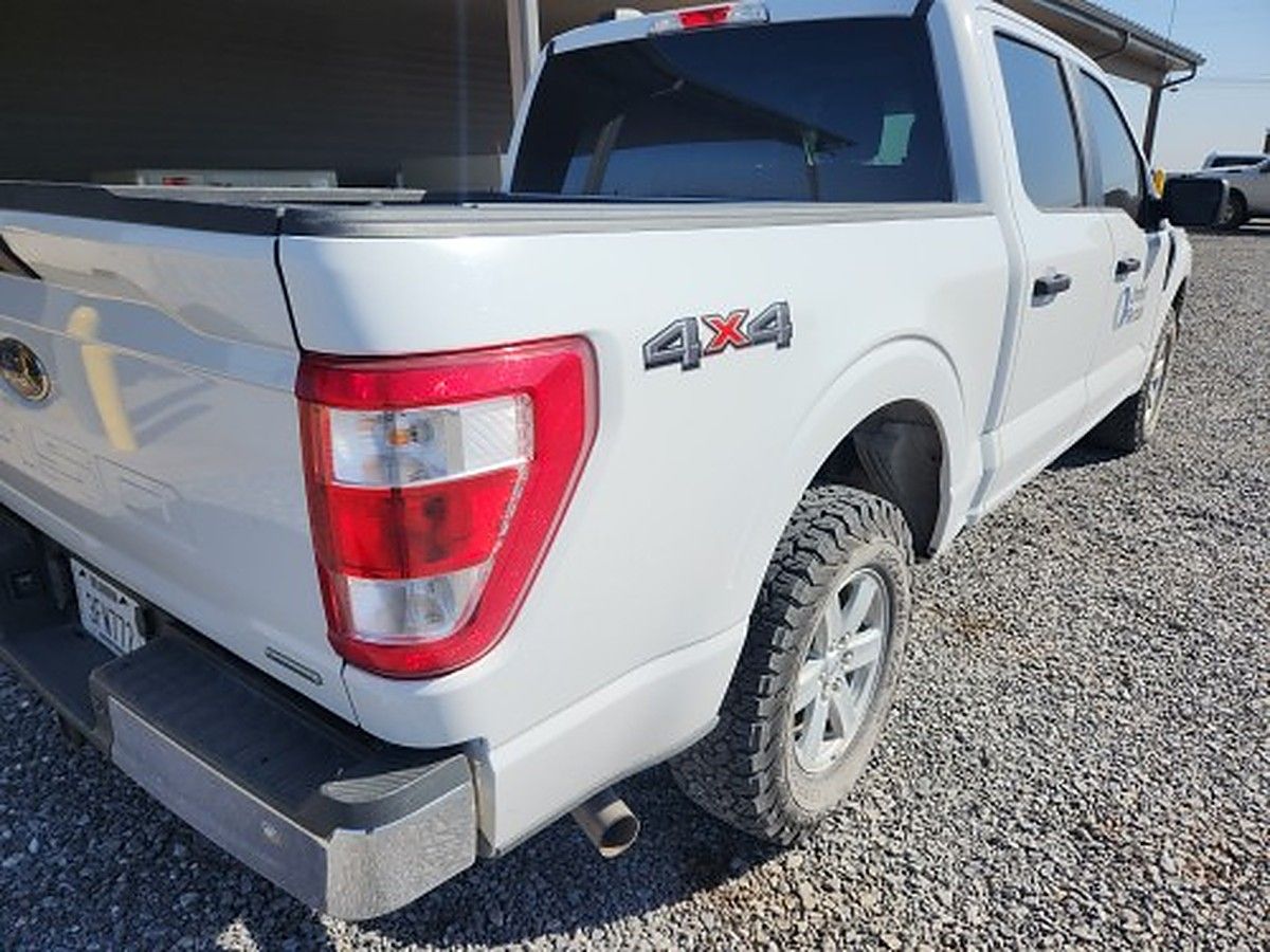 FORD F150CREWXLTG4WD photo 3