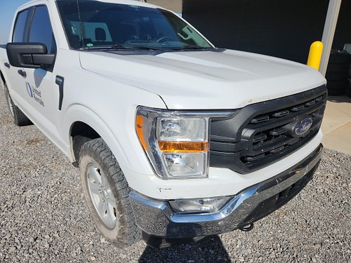FORD F150CREWXLTG4WD photo 5