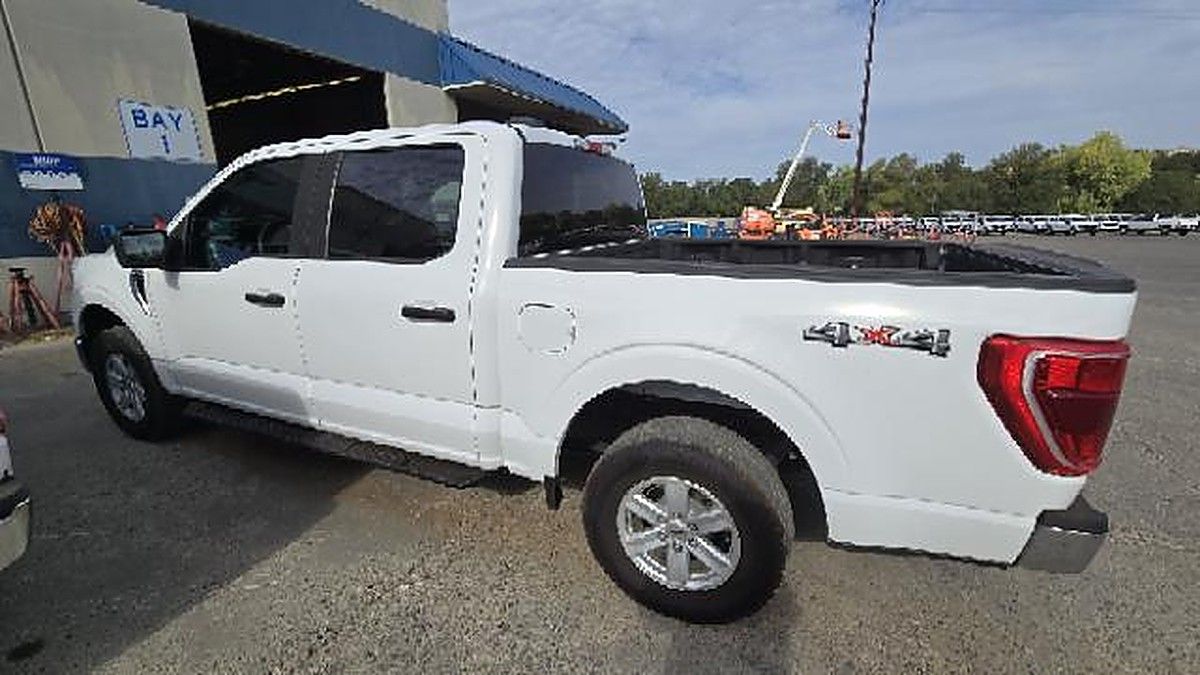FORD F150CREWXLTG4WD photo 3