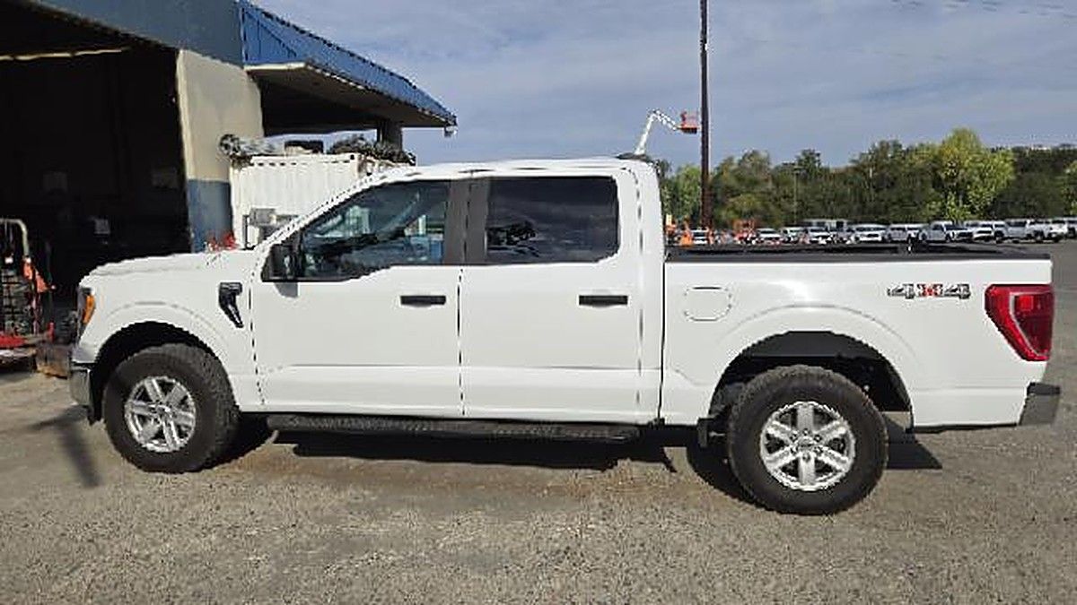 FORD F150CREWXLTG4WD photo 4