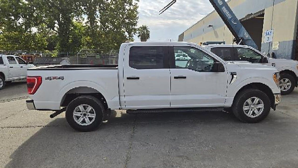 FORD F150CREWXLTG4WD photo 5