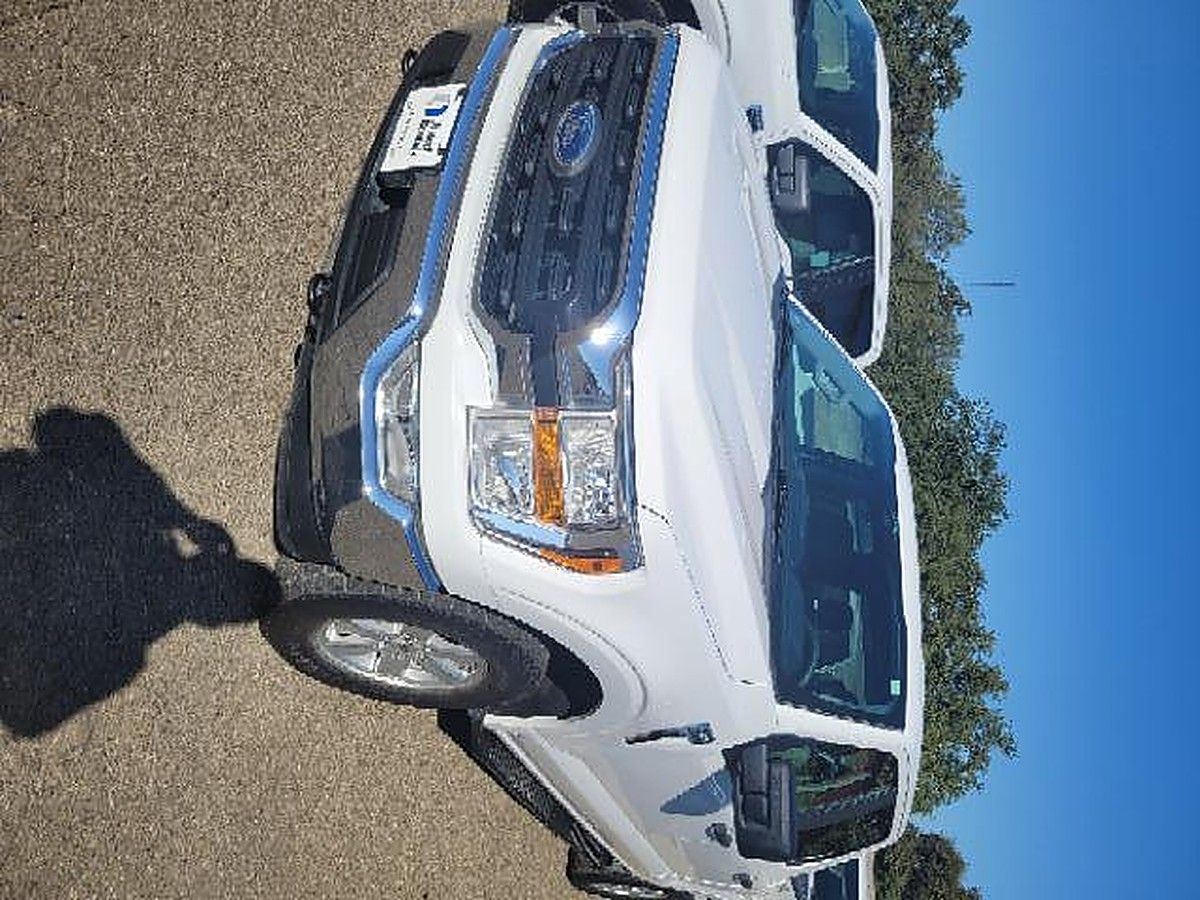FORD F150CREWXLTG4WD photo 4