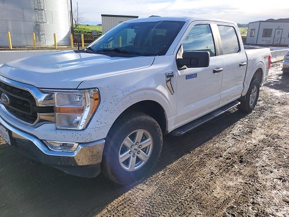 FORD F150CREWXLTG4WD photo 2
