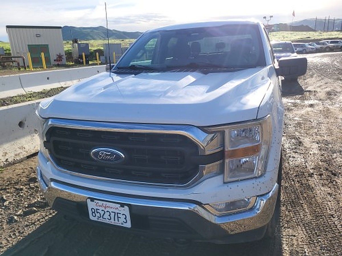 FORD F150CREWXLTG4WD photo 3