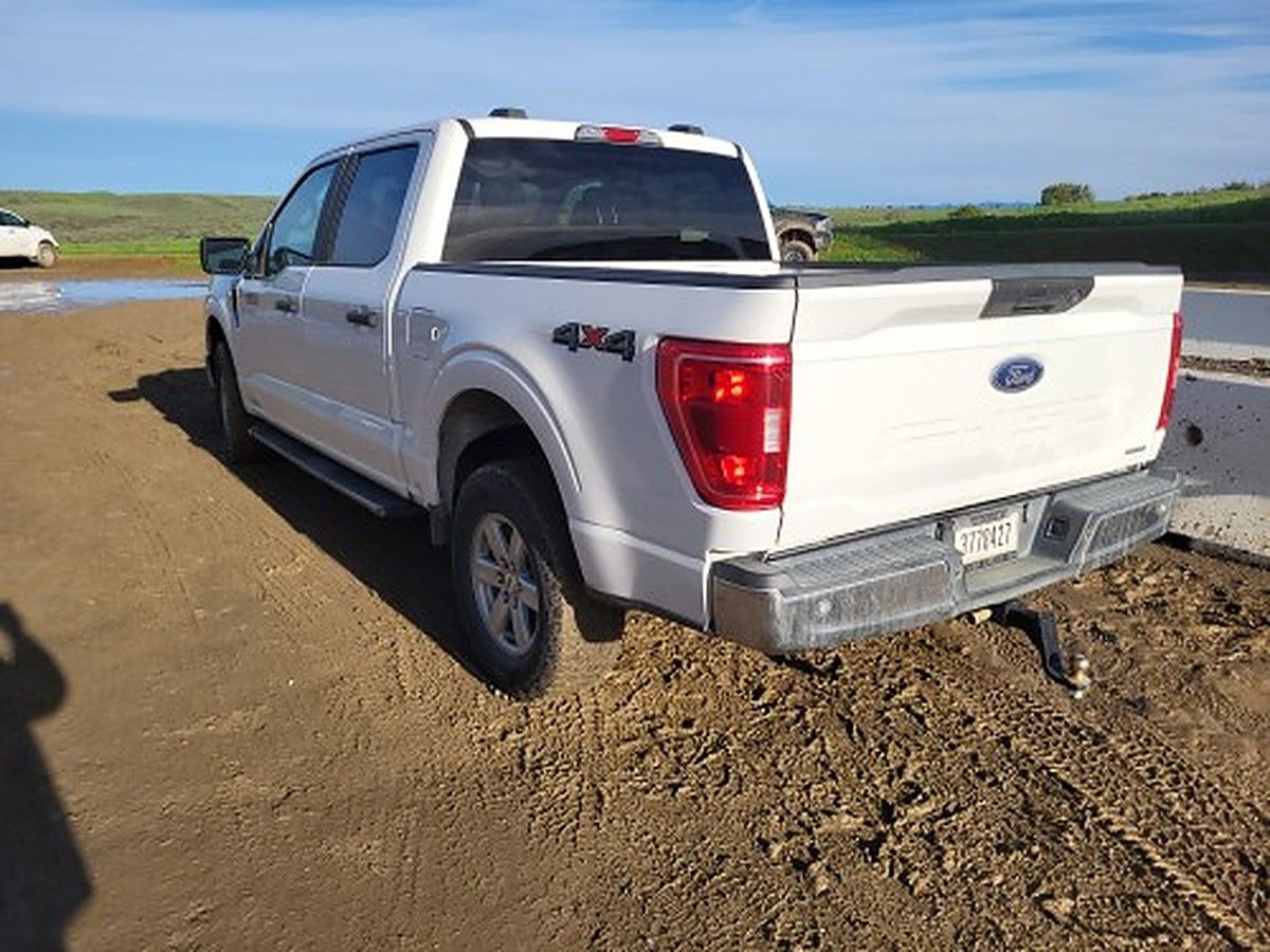 FORD F150CREWXLTG4WD photo 4