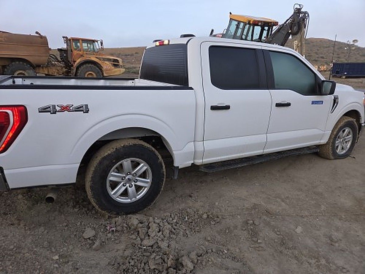 FORD F150CREWXLTG4WD photo 5