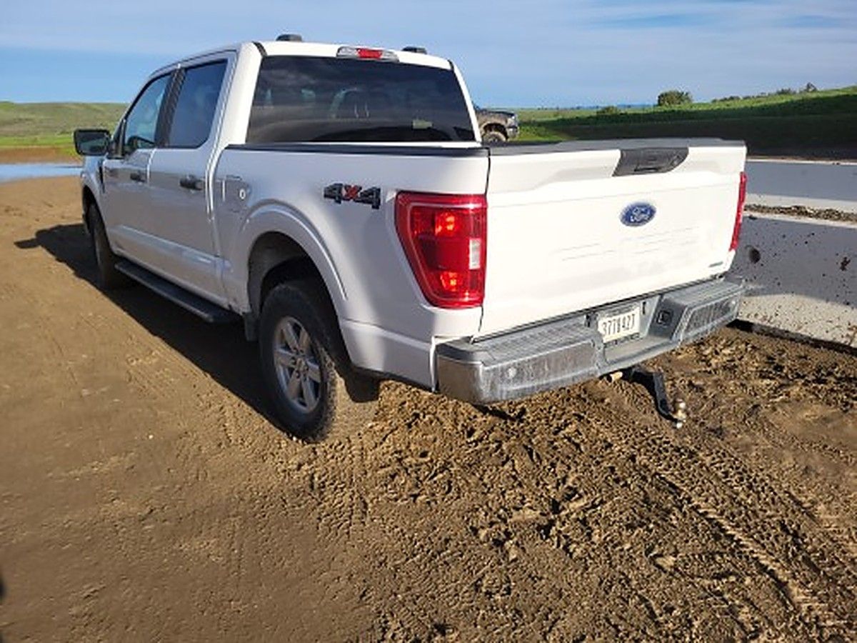 FORD F150CREWXLTG4WD photo 6