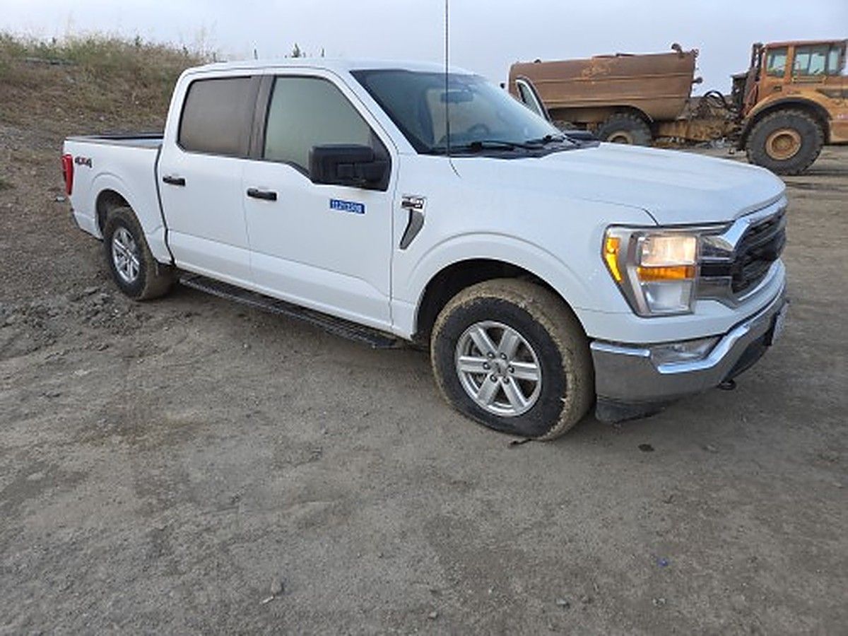 FORD F150CREWXLTG4WD photo 7