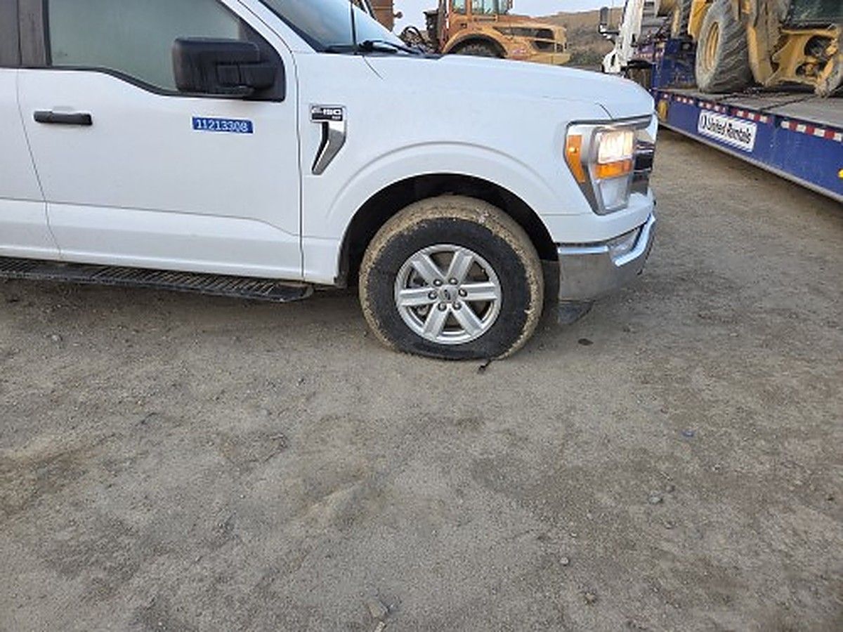 FORD F150CREWXLTG4WD photo 8