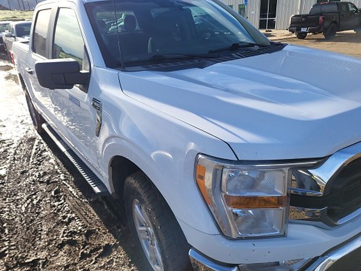 FORD F150CREWXLTG4WD photo 10