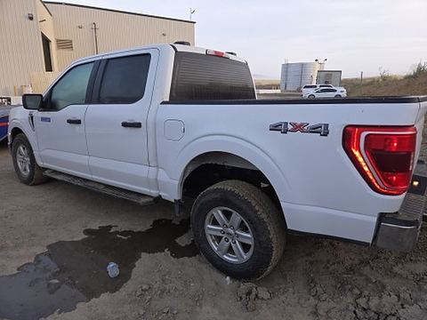 2021 FORD F150CREWXLTG4WD Truck Pu 1/2 Ton 4X4 Xlt Crew Cab