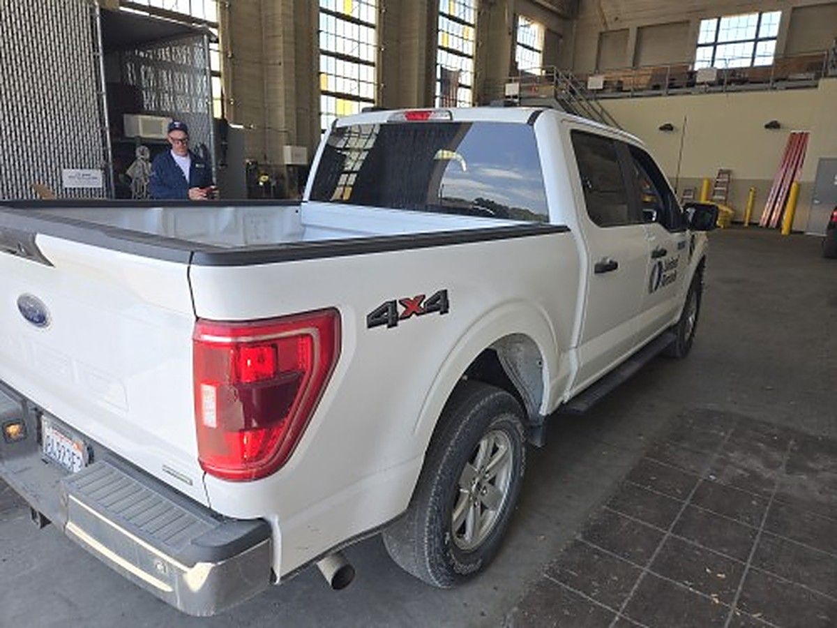 FORD F150CREWXLTG4WD photo 3