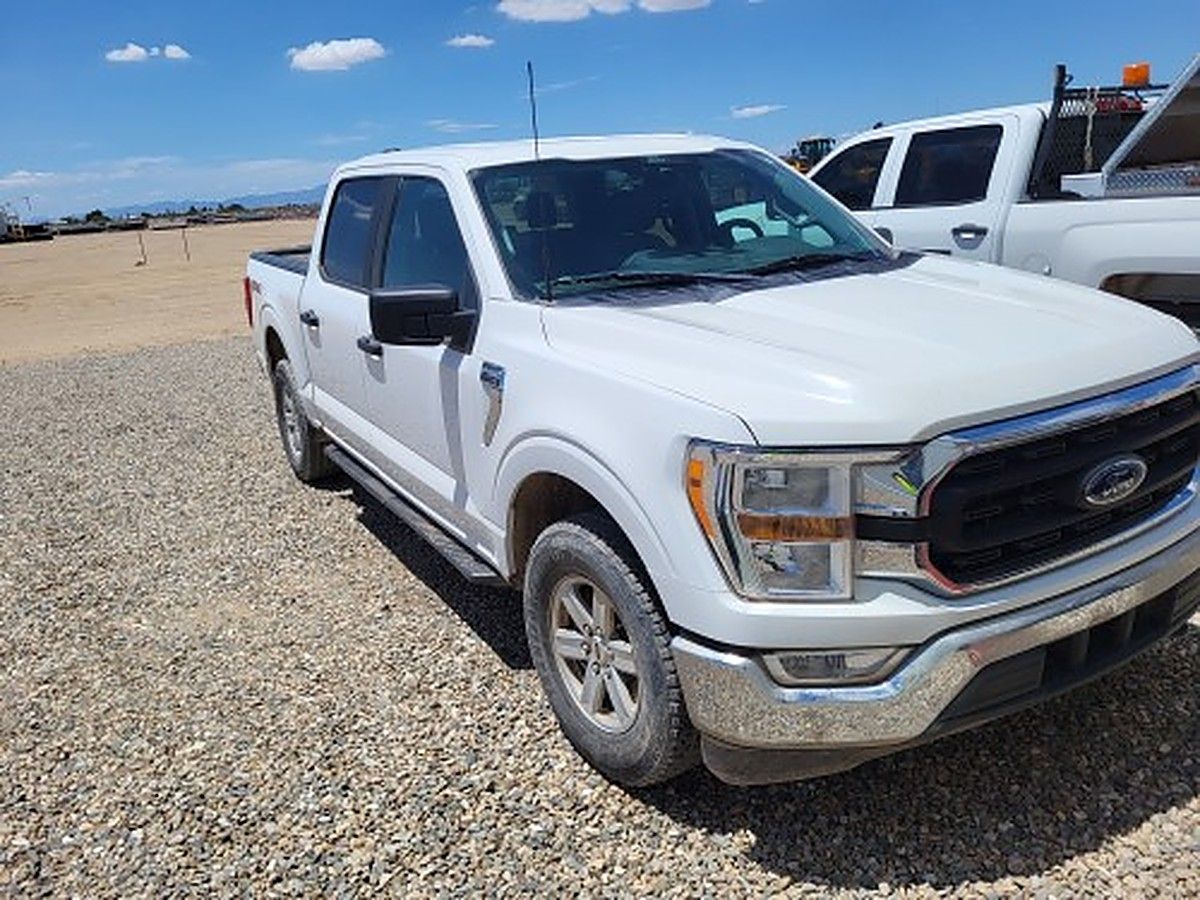 FORD F150CREWXLTG4WD photo 4
