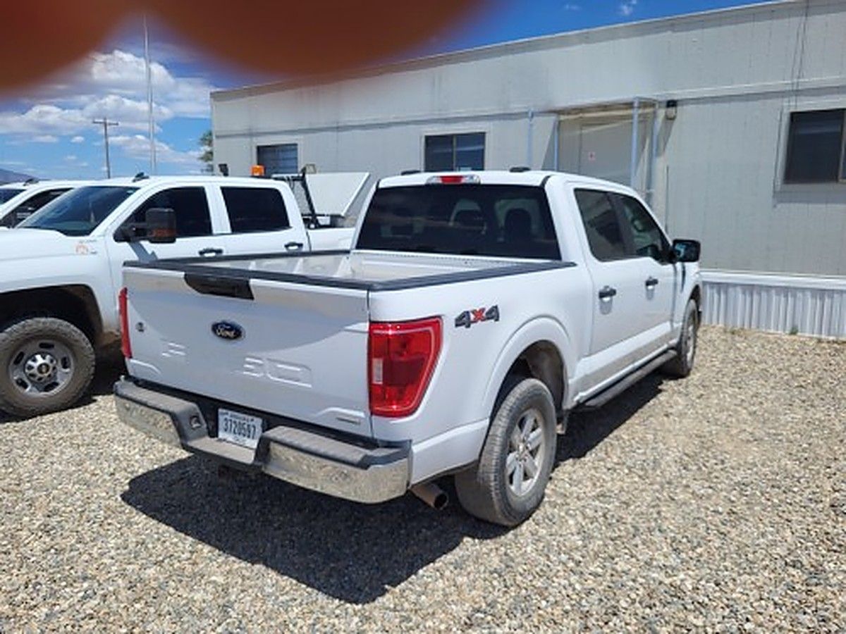 FORD F150CREWXLTG4WD photo 5