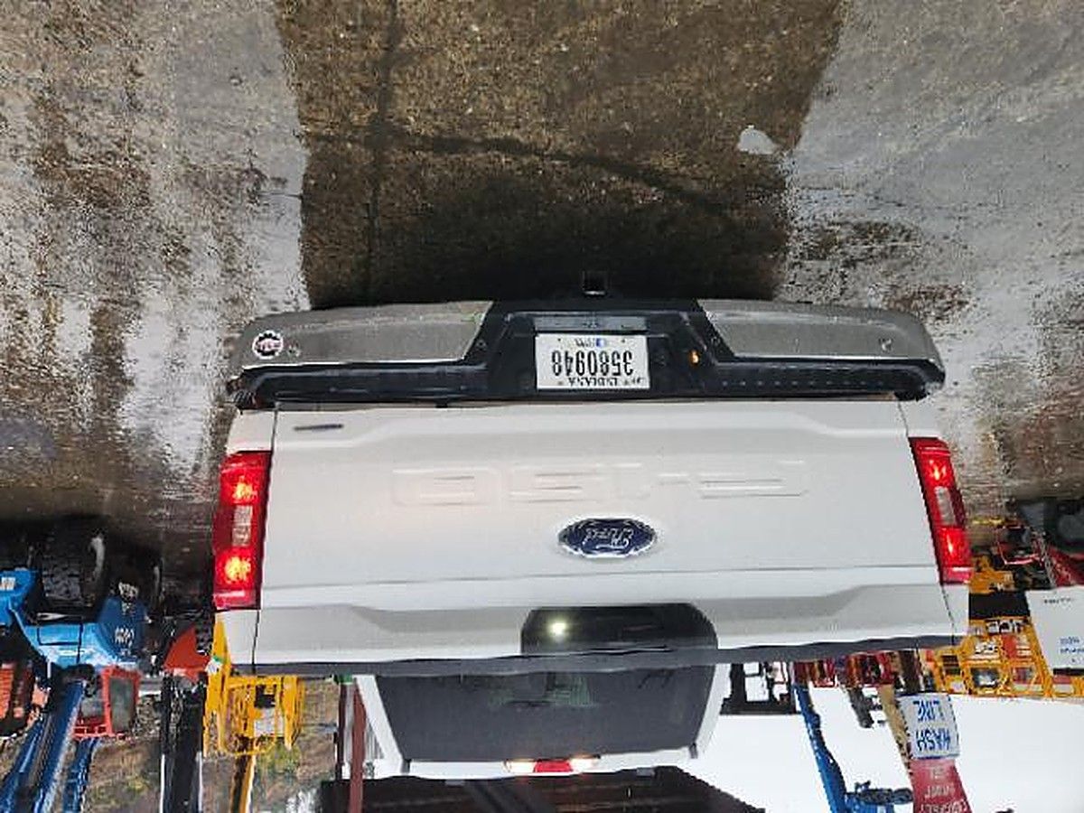 FORD F150CREWXLTG4WD photo 3