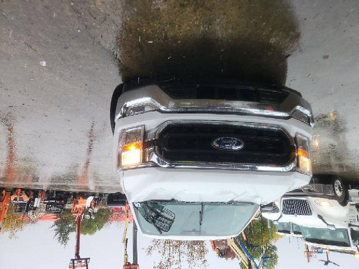FORD F150CREWXLTG4WD photo 4