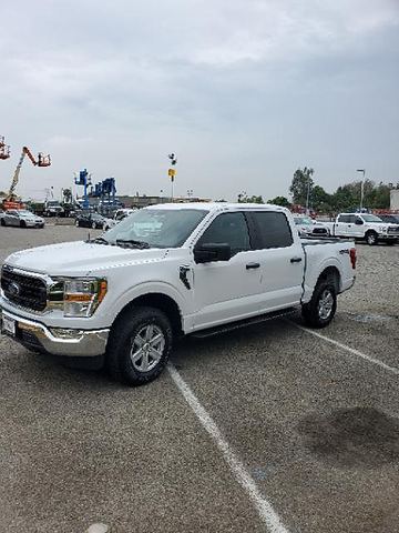 2021 FORD F150CREWXLTG4WD Truck Pu 1/2 Ton 4X4 Xlt Crew Cab