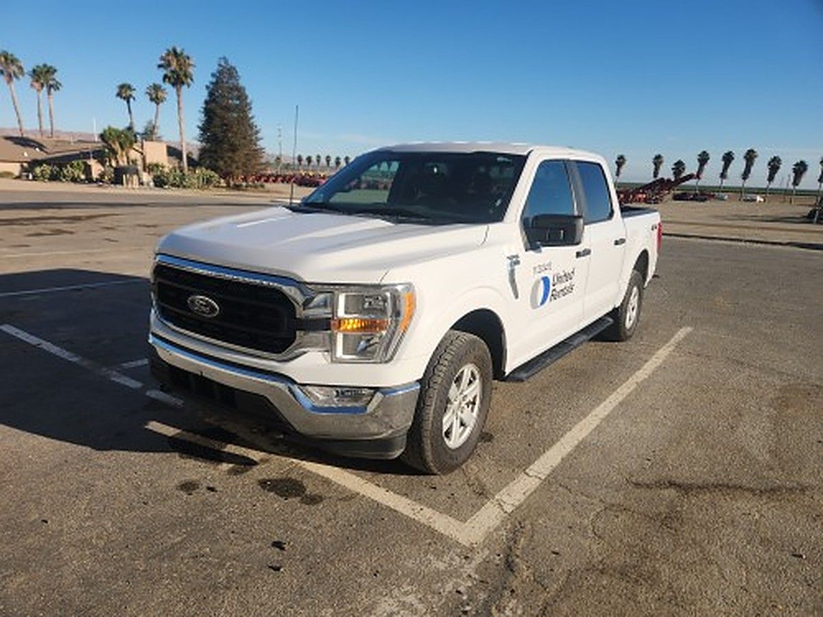 FORD F150CREWXLTG4WD photo 2