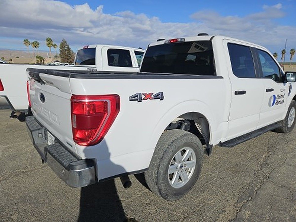 FORD F150CREWXLTG4WD photo 3