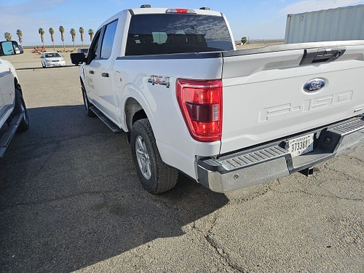 FORD F150CREWXLTG4WD photo 4