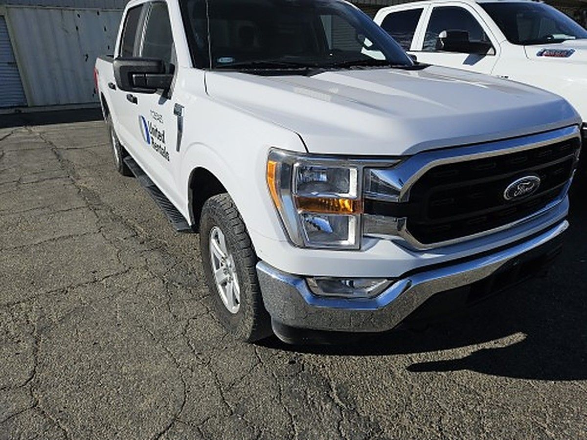 FORD F150CREWXLTG4WD photo 10