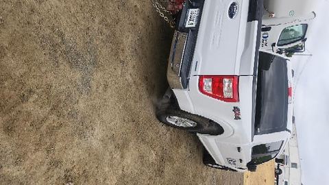 2021 FORD F150CREWXLTG4WD Truck Pu 1/2 Ton 4X4 Xlt Crew Cab