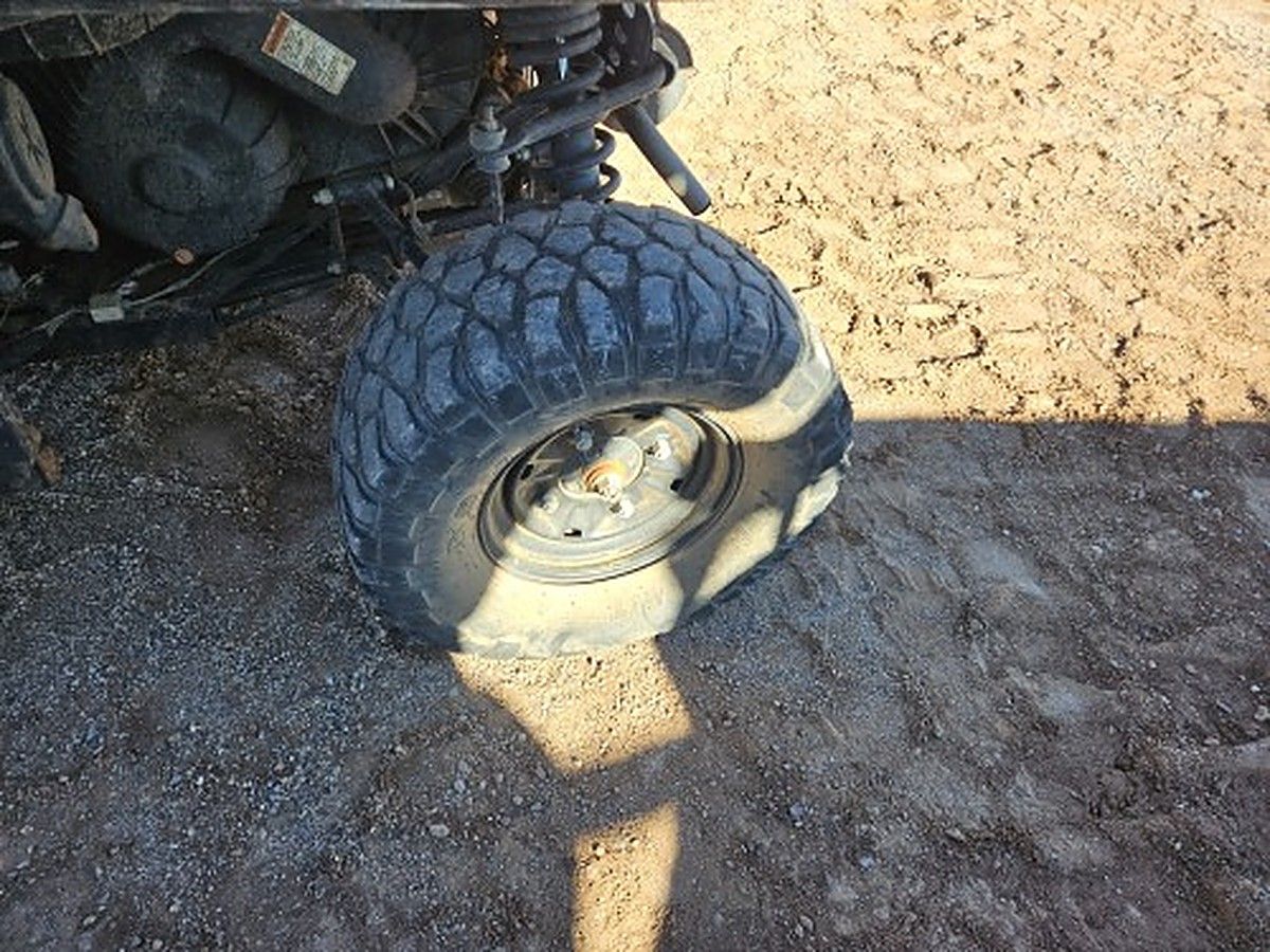 POLARIS PRO XD 4000D photo 14