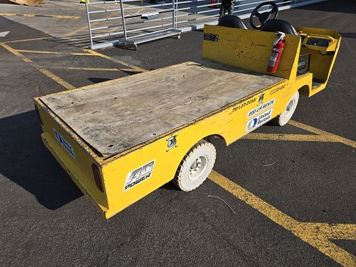 TAYLOR BIG FOOT 48V AC photo 12