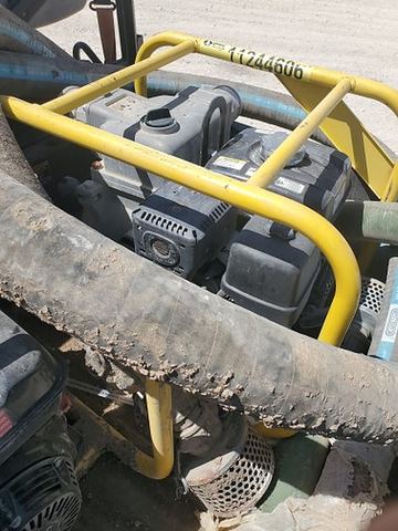 2021 WACKER PT 3A for sale