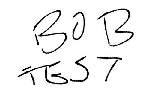 2022 AMERICAN OBS-18DC for sale
