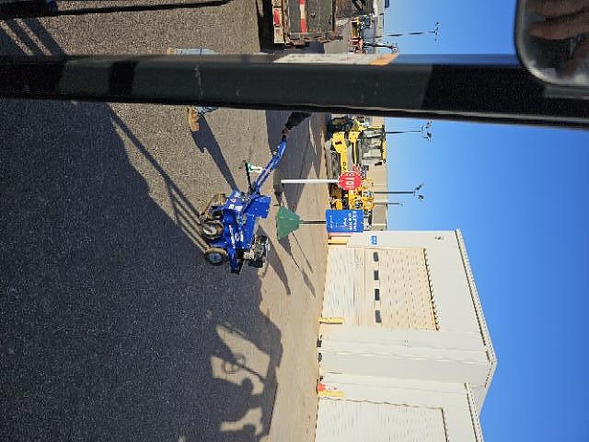 BLUEBIRD SC550 photo 3