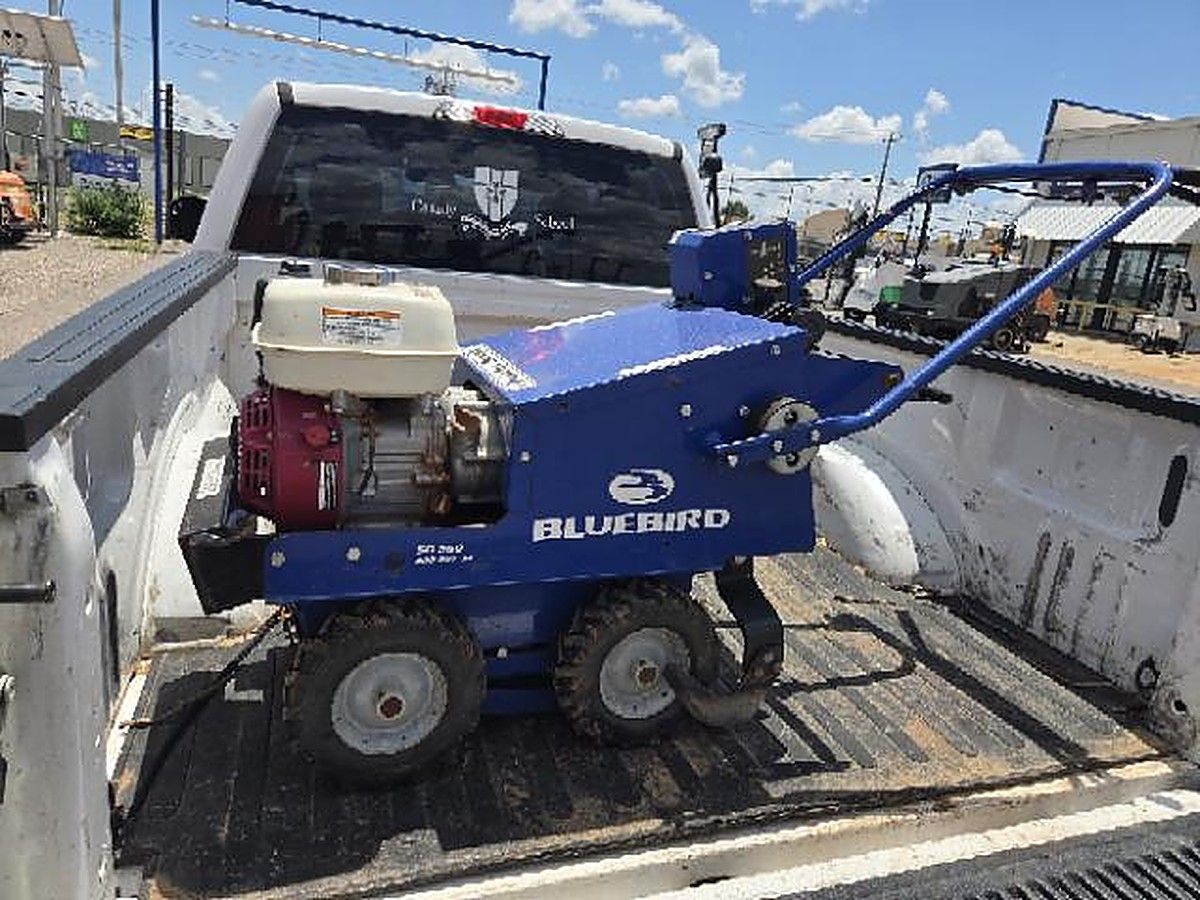 2022 BLUEBIRD SC550H for sale in Las Vegas, NV