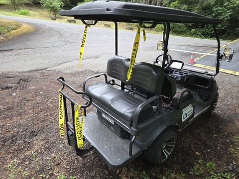2022 EVOLUTION CLASSIC 4 PRO Golf Cart Electric