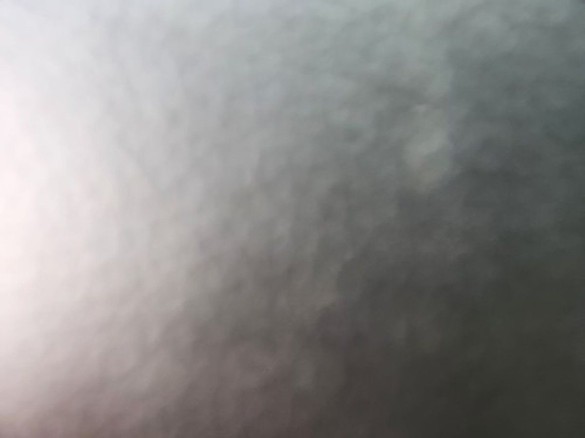 EVOLUTION FORESTER 6 PLUS photo 5