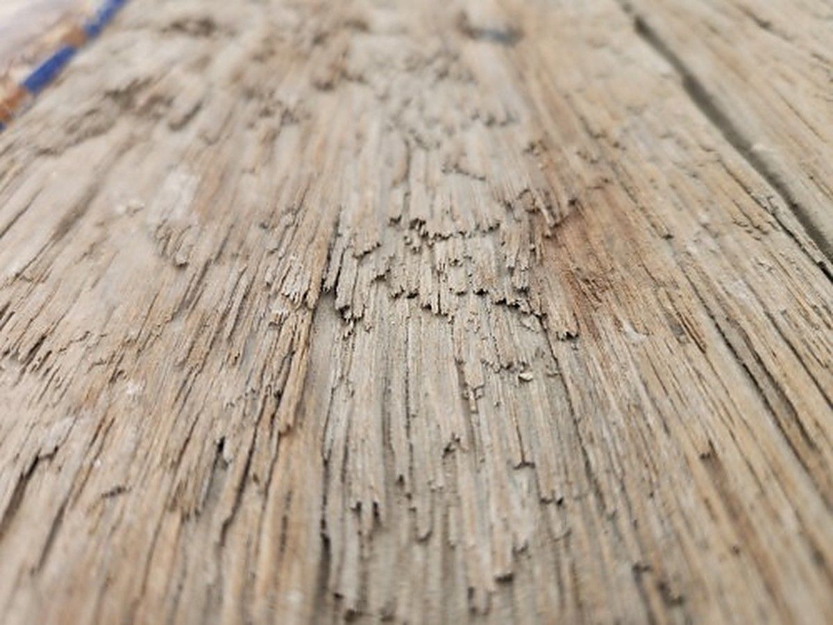 EVOLUTION FORESTER 6 PLUS photo 8