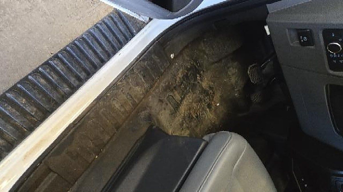 FORD F150CREWXLG4WD photo 8