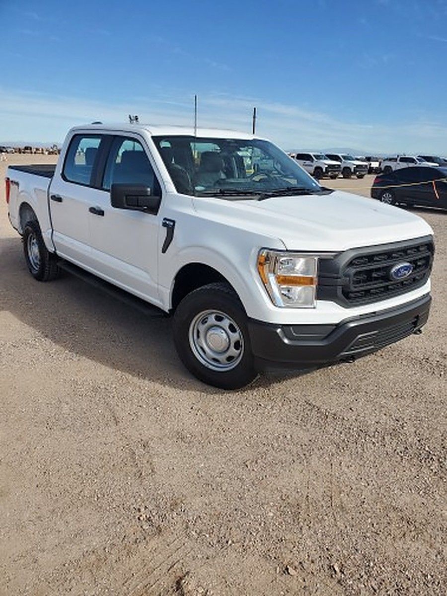 FORD F150CREWXLG4WD photo 3
