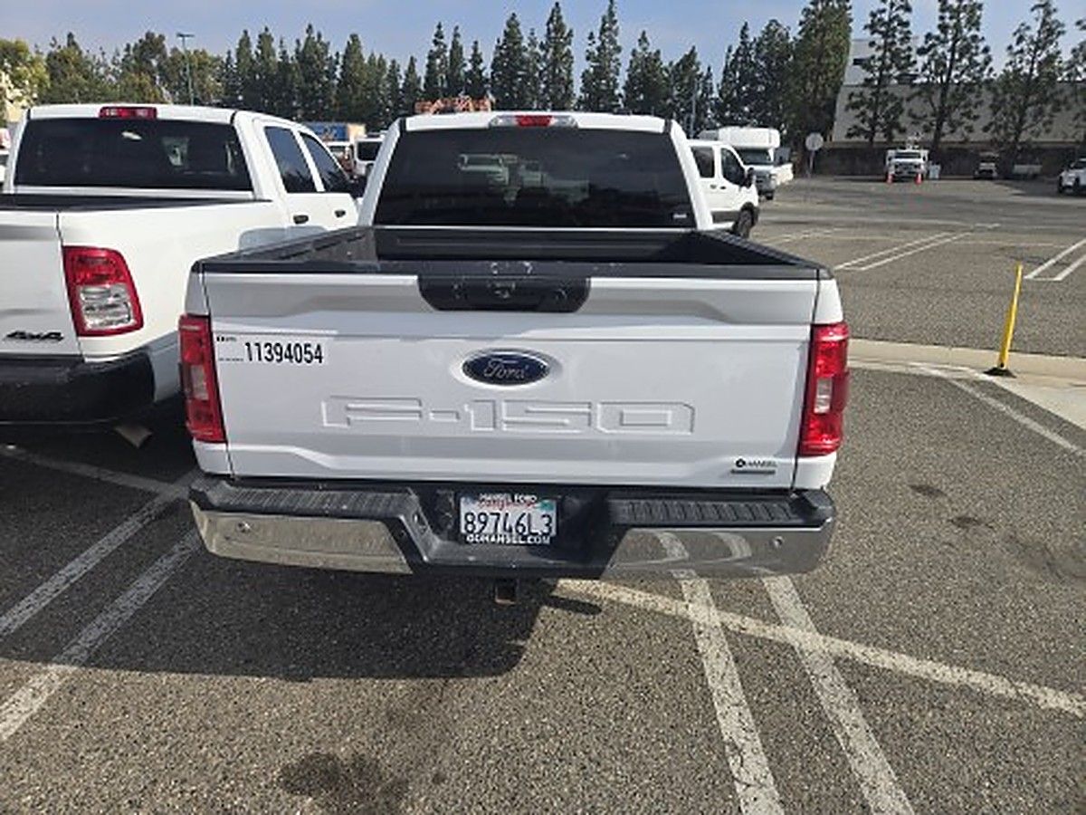 FORD F150CREWXLTG4WD photo 8