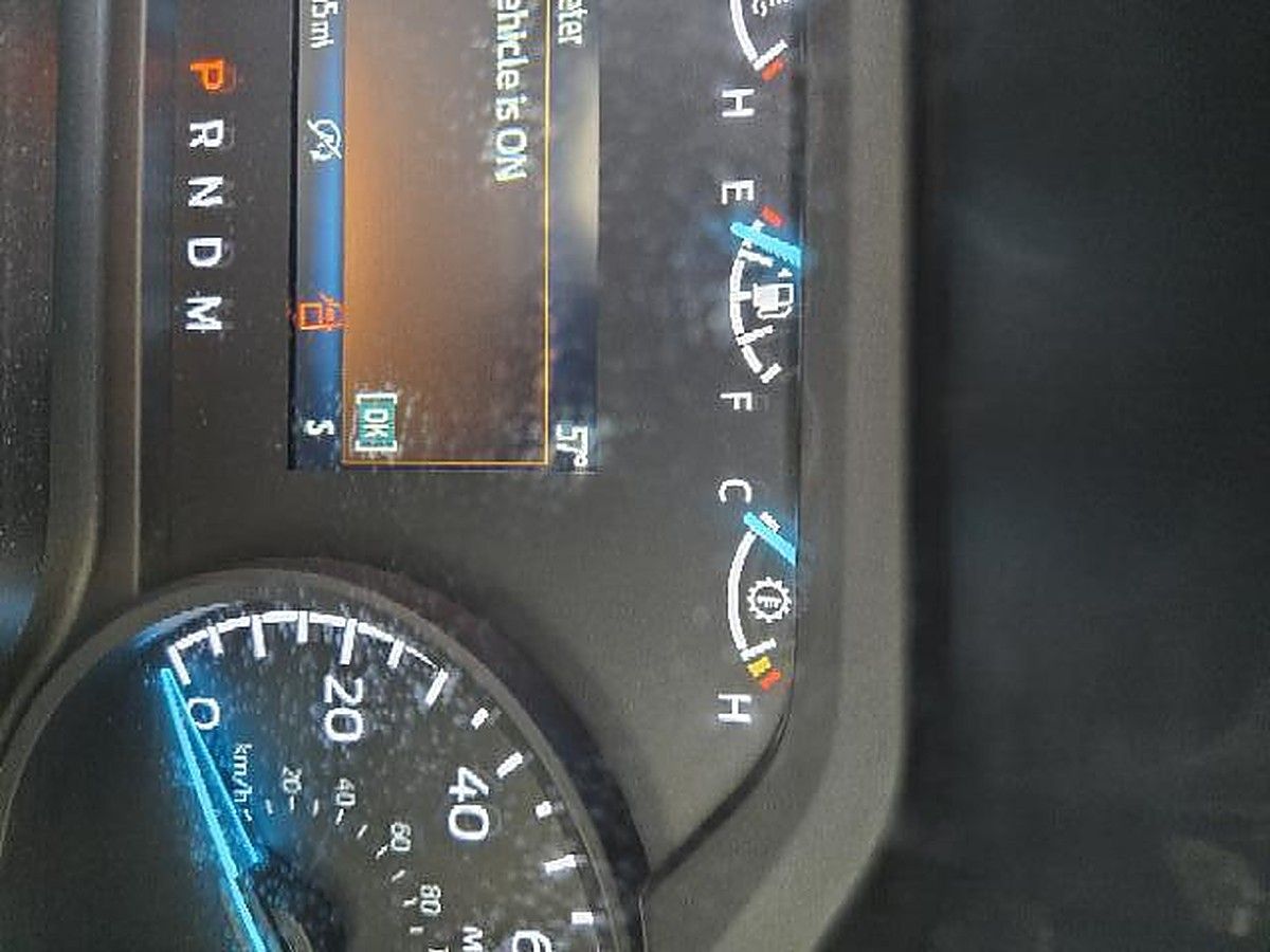 FORD F150CREWXLTG4WD photo 7