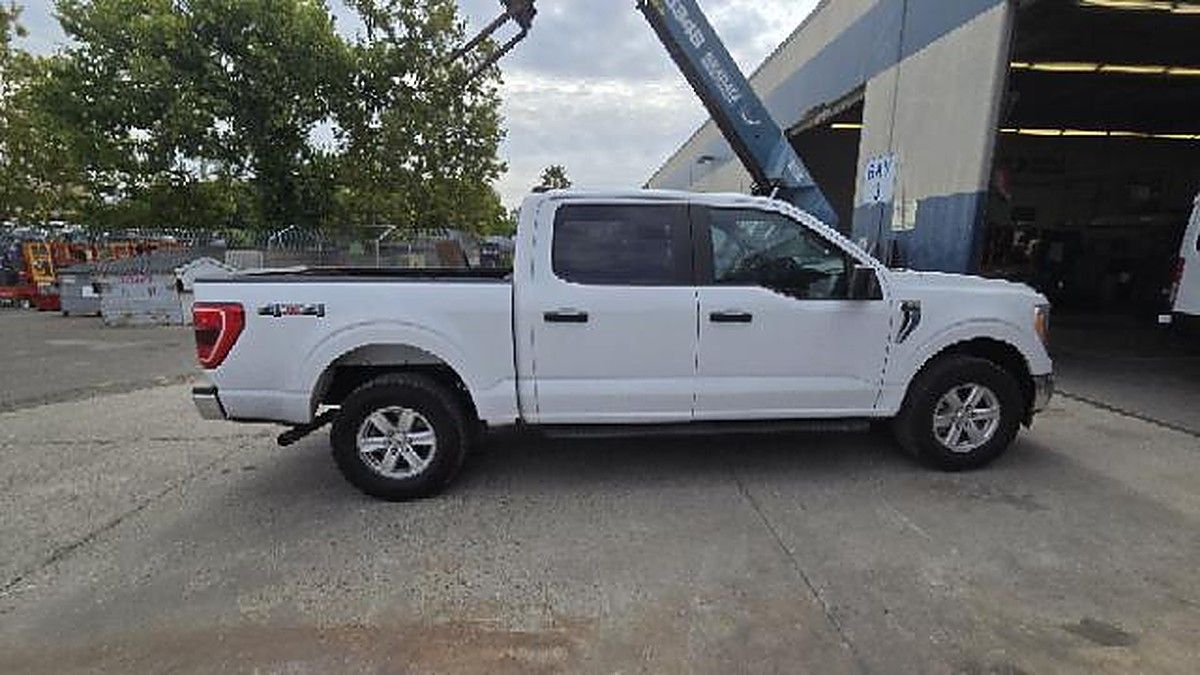 FORD F150CREWXLTG4WD photo 4