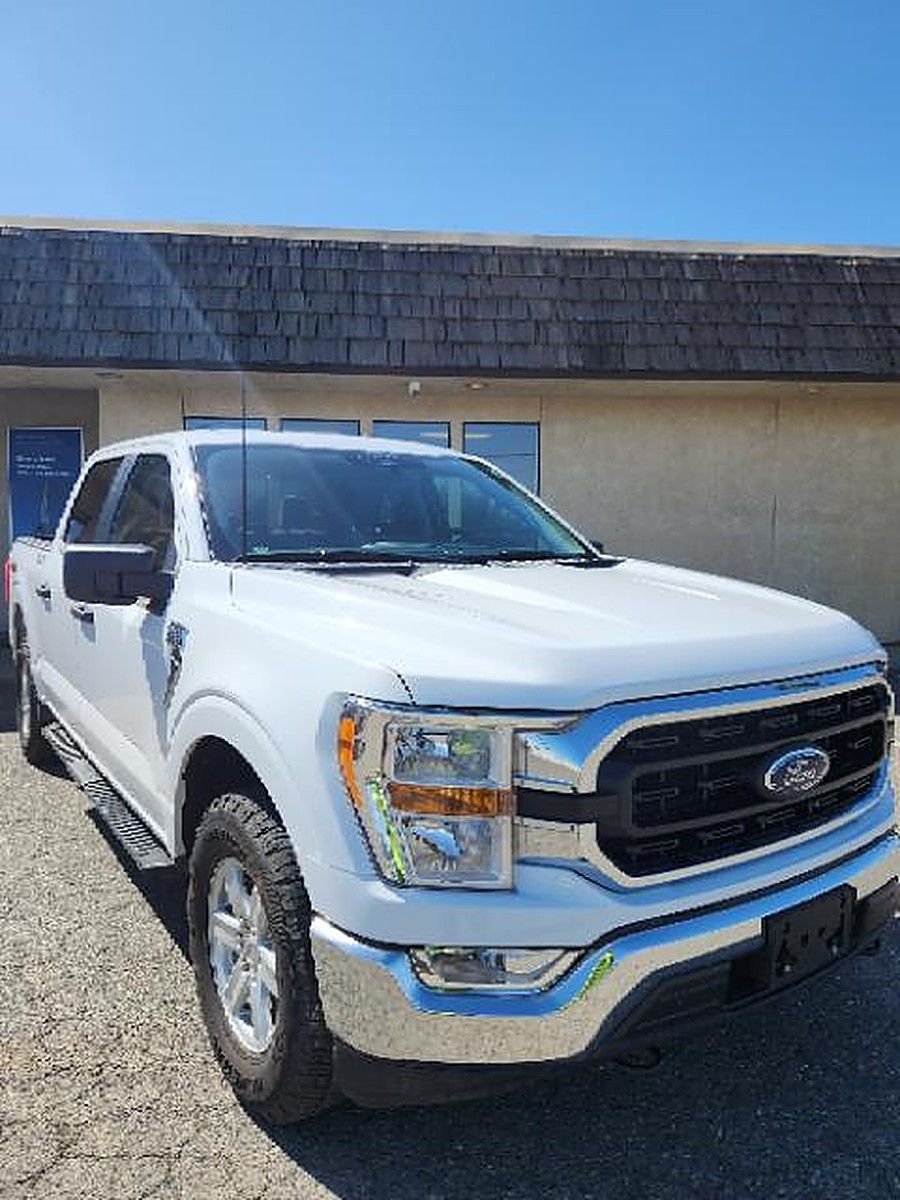 FORD F150CREWXLTG4WD photo 2