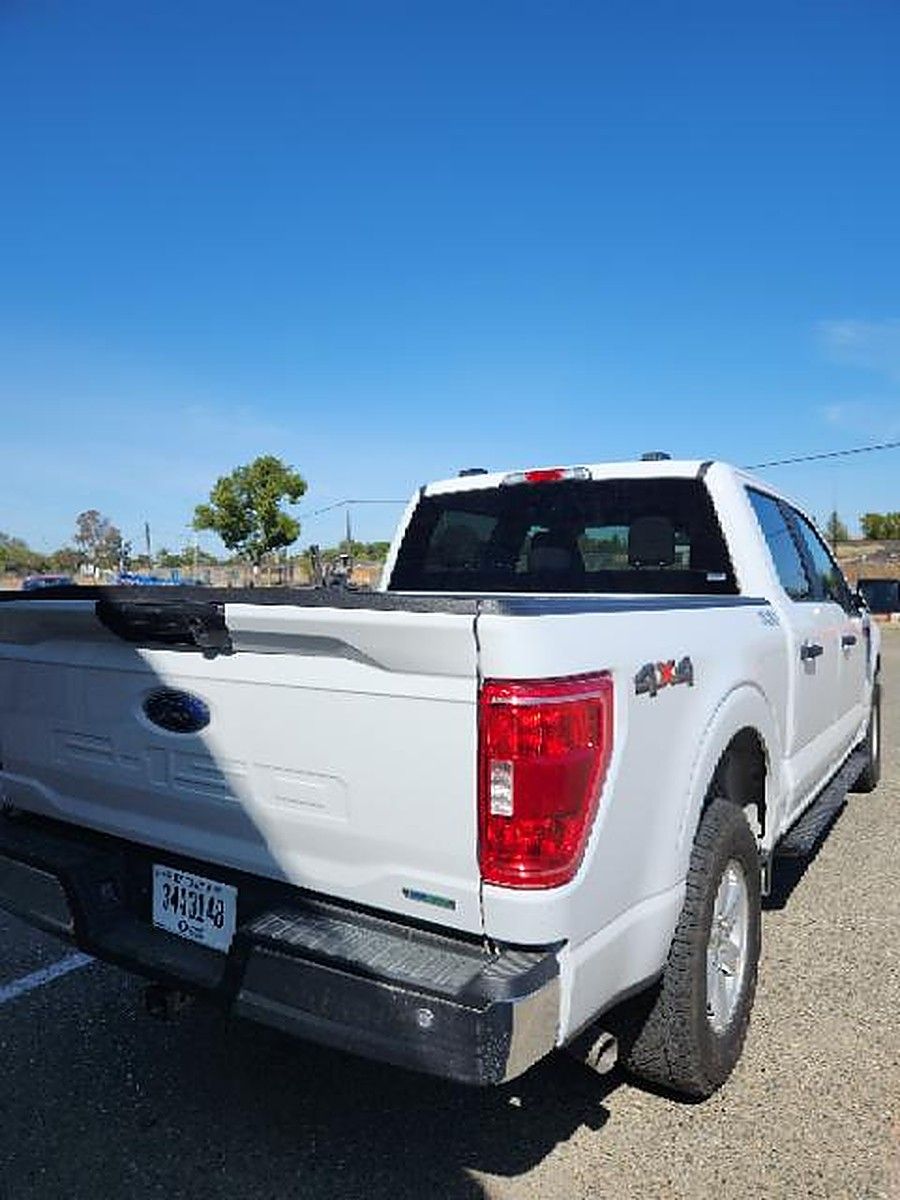 FORD F150CREWXLTG4WD photo 4