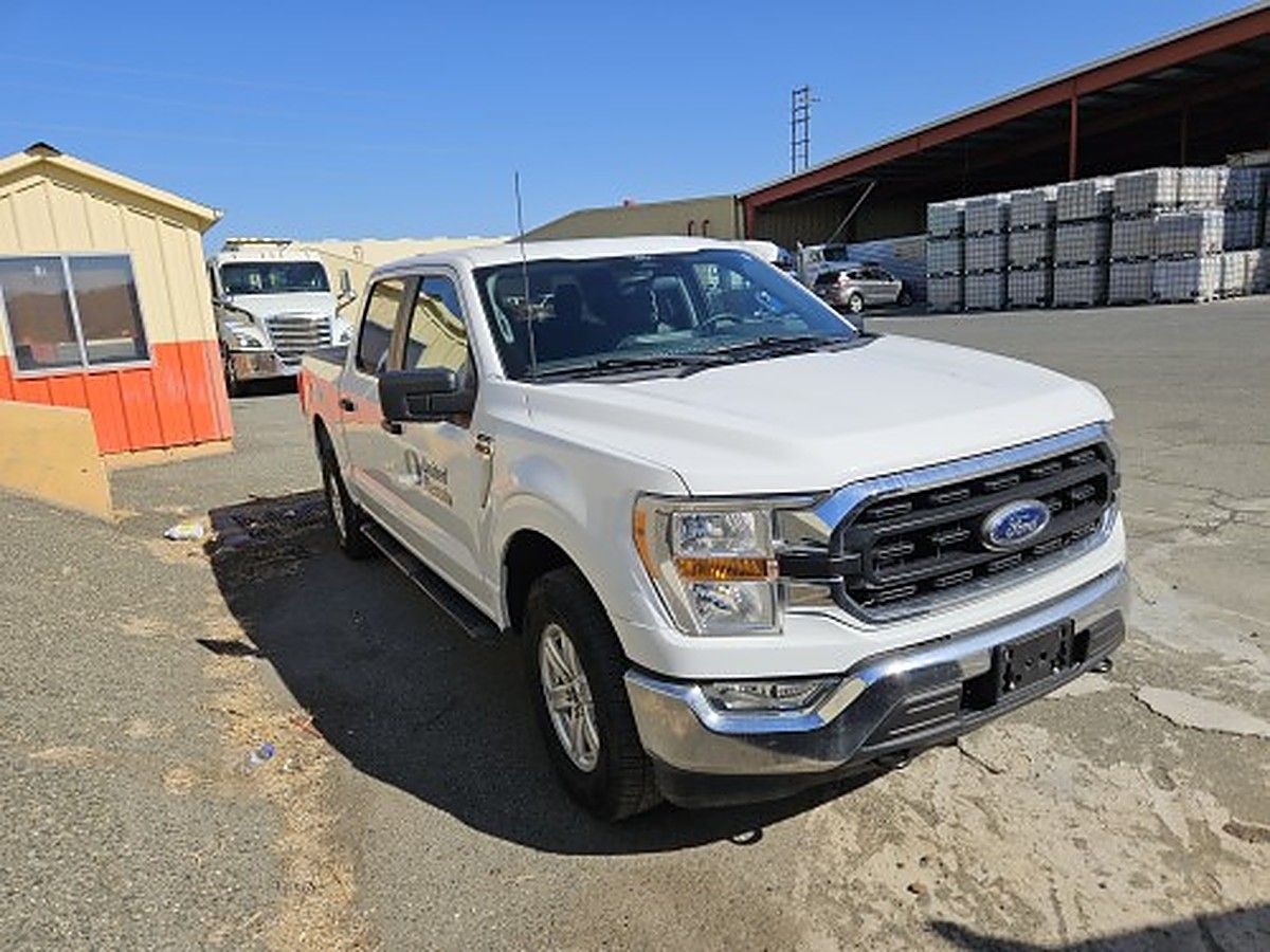 FORD F150CREWXLTG4WD photo 5