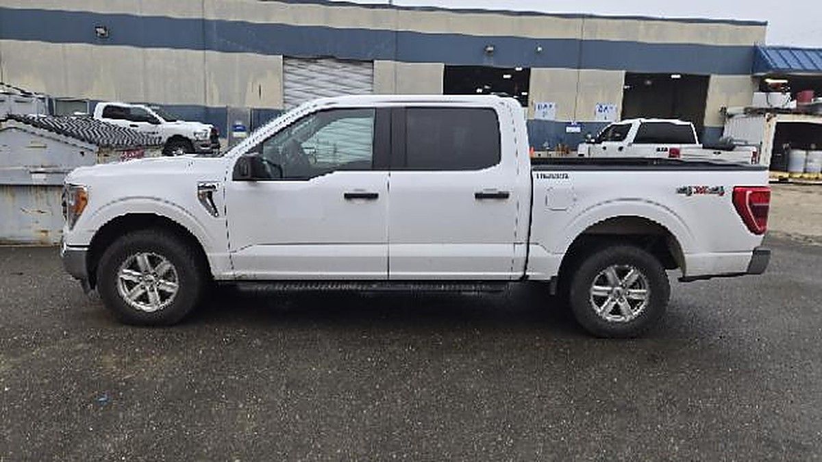 FORD F150CREWXLTG4WD photo 4