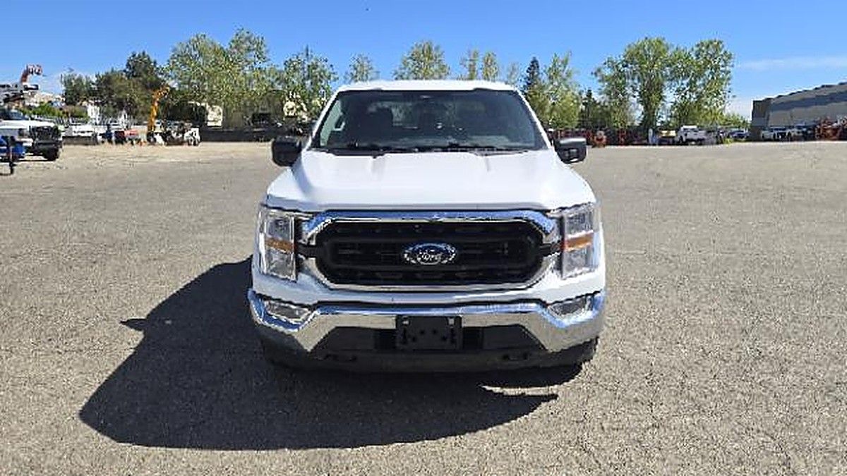 FORD F150CREWXLTG4WD photo 2