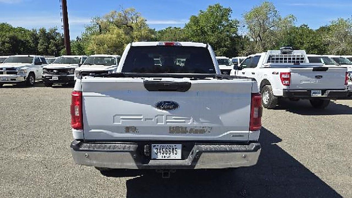 FORD F150CREWXLTG4WD photo 4